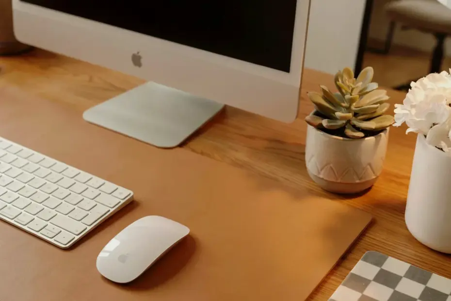 Amazon Office Must Haves for a Productive WFH Setup | Home Office Essentials